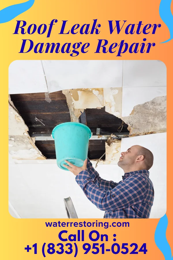 Roof Leak Water Damage Repair in Renningers, PA