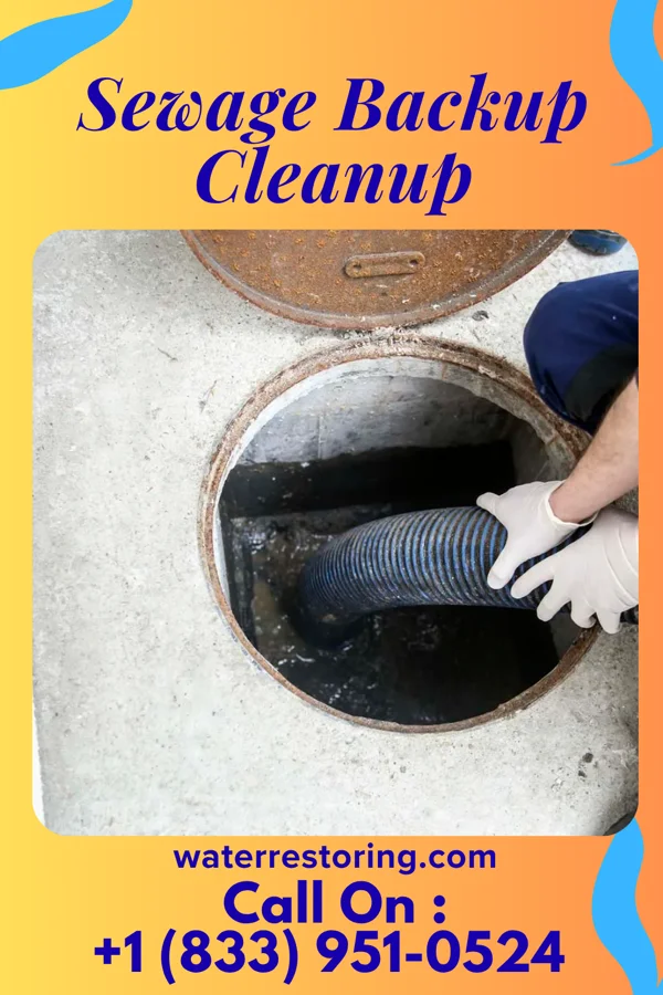 Sewage Backup Cleanup in Renningers, PA