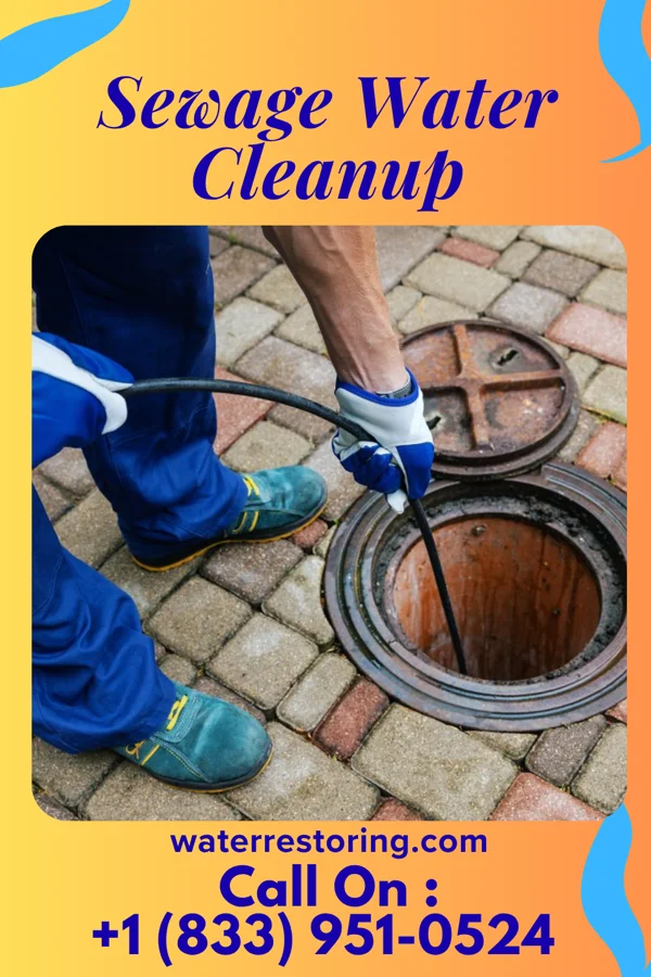 Sewage Water Cleanup in Renningers, PA