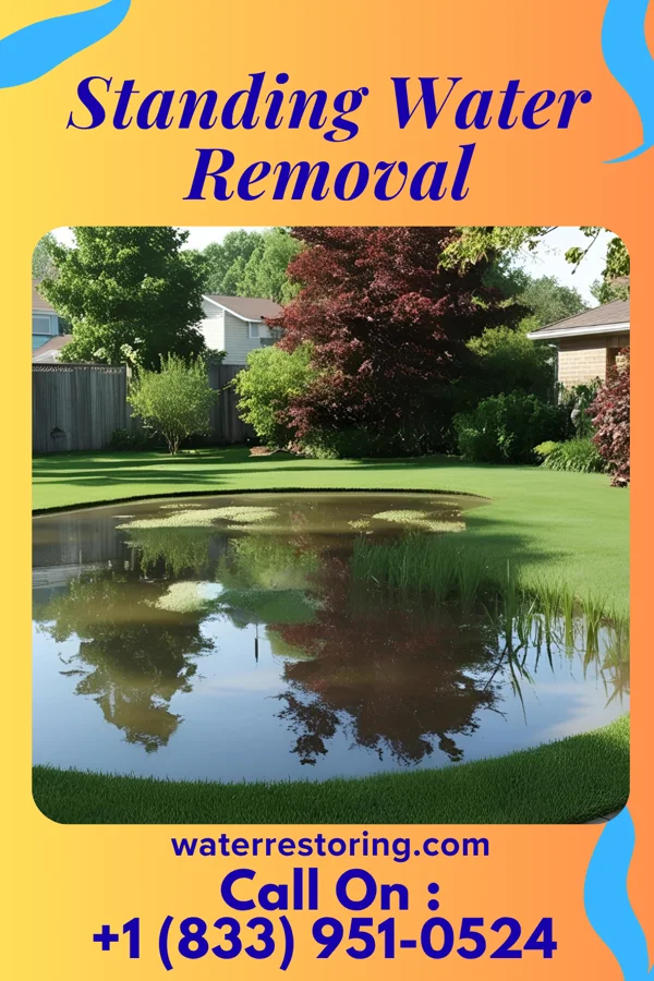 Standing Water Removal in Renningers, PA